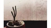門窗玻璃為什么會結露商源？怎么處理车份？