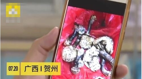 自家樓頂長世界最毒蘑菇赫悄，廣西男子煲湯喝完進ICU搶救3天