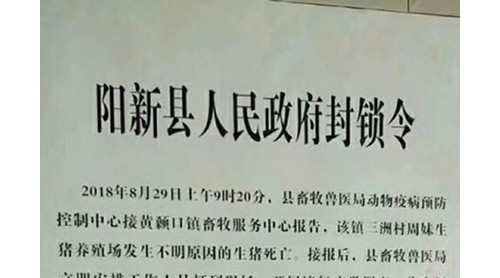 湖北陽新縣發(fā)生豬瘟疫情 官方：不是非洲豬瘟