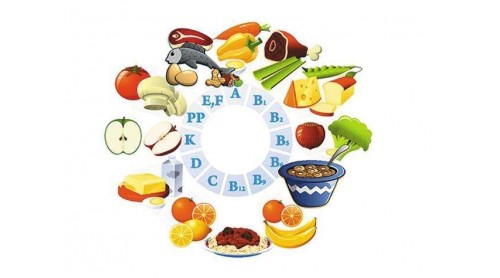 臺灣地區(qū)中小學(xué)加強(qiáng)飲食教育目標(biāo)午餐零廚余
