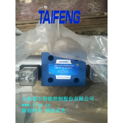 泰豐4WE10D-50/AG24NZ5L電磁閥
