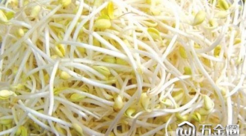 為了舌尖上的安全，韭菜豆芽里做出大文章登下！