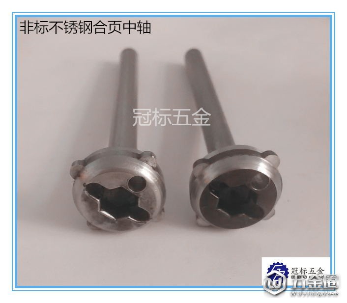 非標(biāo)合頁(yè)中軸