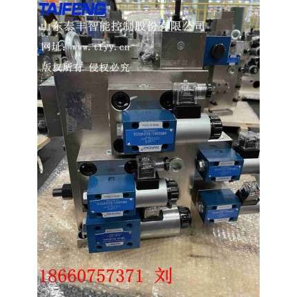 供應泰豐插裝閥YN32-315HGCV